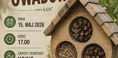 KOKiS: Pod okiem instruktorów zbudujesz drewniany domek