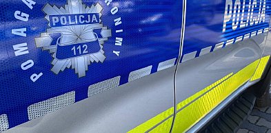 Kierujący samochodem marki Volvo uderzył w łosia