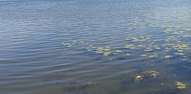 Prognozuje się upał. Temperatura maksymalna w dzień około 30°C