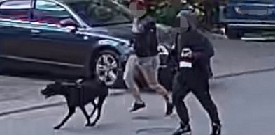 Pies zaatakował jadącą na rowerze kobietę