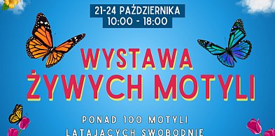 Tropikalny ogród pełen magii w sercu Kolna-48522