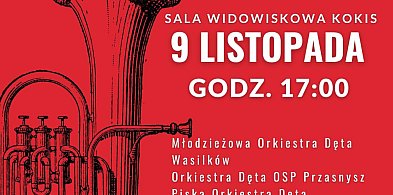 Koncert w Kolnie: Zagrajmy dla Niepodległej (plakat)-48738