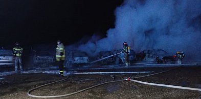 Pożar w firmie transportowej. Spłonęło 7 aut-49433