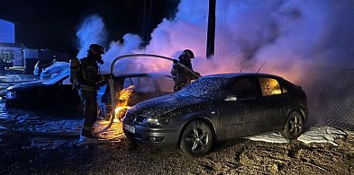 Nowe fakty w sprawie pożaru samochodów osobowych (foto)-49490