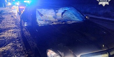 Zderzenie z łosiem na trasie Kolno - Pisz-50199