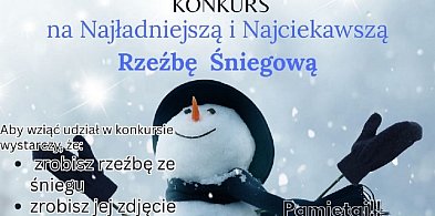 Śniegowe rzeźby to nie tylko bałwany-51016