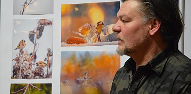 Ptaki i ptaszki. Ta wystawa robi wrażenie ogromem pracy