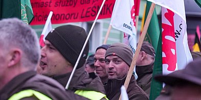 Białystok/ Manifestacja w obronie Lasów Państwowych-49975