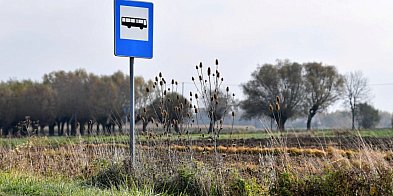 Kto dostał dofinansowanie na przewozy autobusowe?-50499