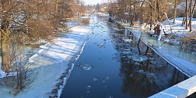 Zobacz zdjęcia Pisy w zimie-51100