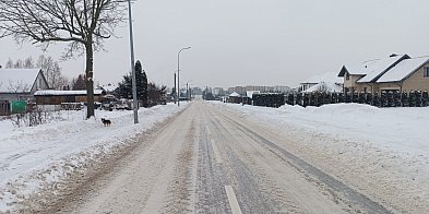 Dyrektor PZD w Kolnie o zimowym utrzymaniu dróg