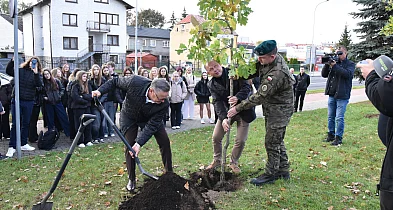 Duda: Chcemy, aby te drzewa rosły razem z naszym miastem-48369