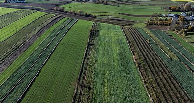 Rząd ratuje reformę planowania. Kary dla gmin za wuzetki zostaną zawieszone-48981
