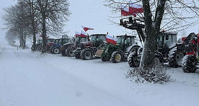 Czerwone: protest rolników przeciwko Mercosur-50650