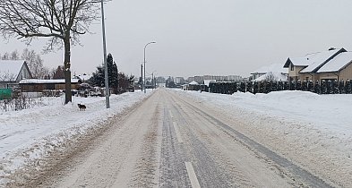PZD w Kolnie: na bieżąco monitorujemy sytuację na drogach