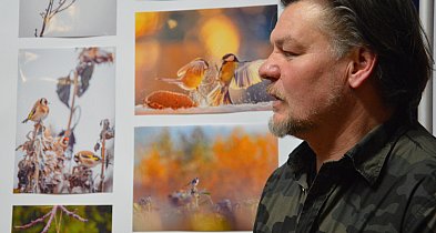 Ptaki i ptaszki. Ta wystawa robi wrażenie ogromem pracy