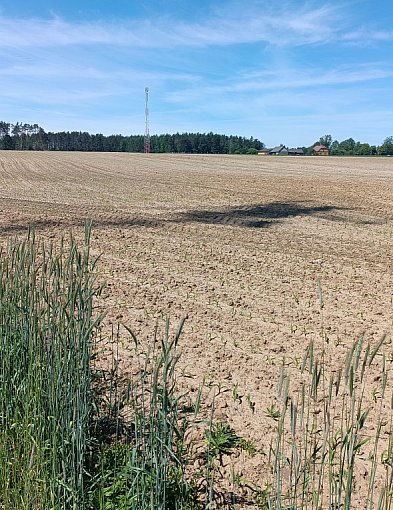 W gminie podniesiono podatki od nieruchomości-48962