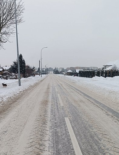 PZD w Kolnie: na bieżąco monitorujemy sytuację na drogach