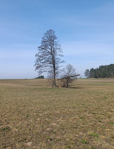 Zobaczcie, co uchwycił obiektyw na trasie Kolno - Górskie