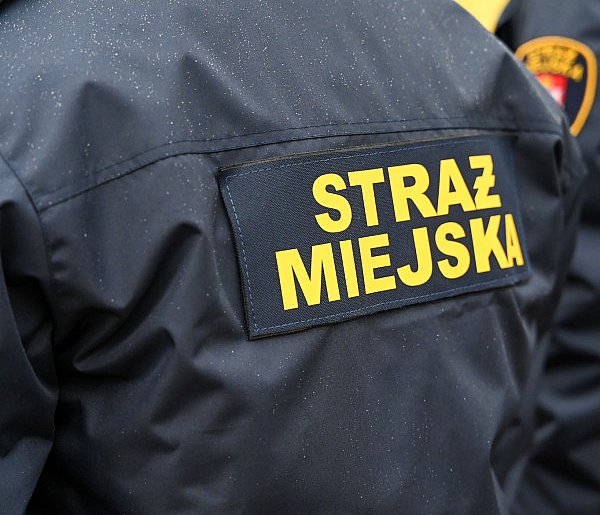 Zapuka strażnik, zapłacisz karę. Ruszyły kontrole w całej Polsce-48491