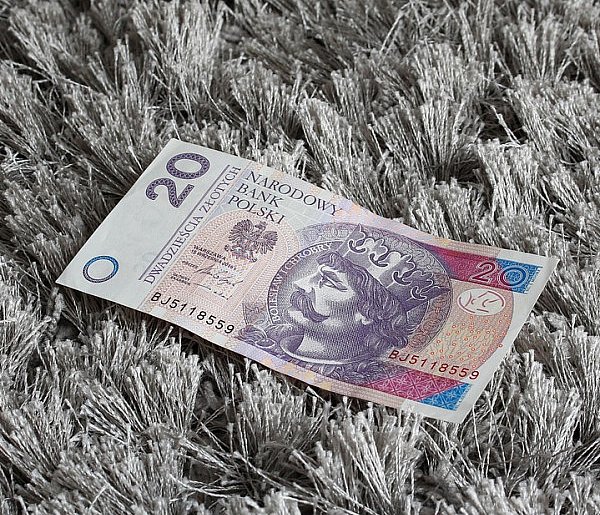 Nowy banknot o nominale 20 zł. Wchodzi do obiegu w tym tygodniu-49117