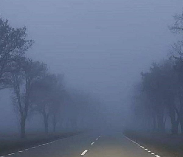 Gęsta mgła w powiecie kolneńskim-49214