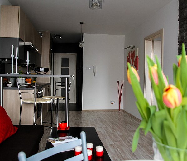 Rewolucja w wynajmie na doby. Nadchodzi koniec "wolnej amerykanki"-49954