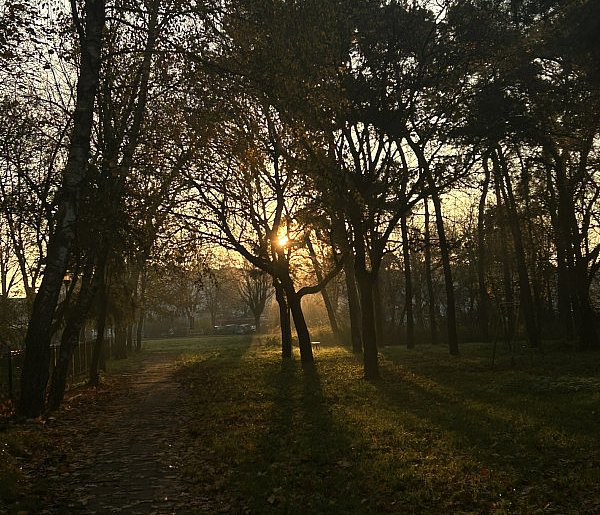 Nadchodzi najkrótszy dzień w 2025 roku. Sprawdź, kiedy przypadnie-50358