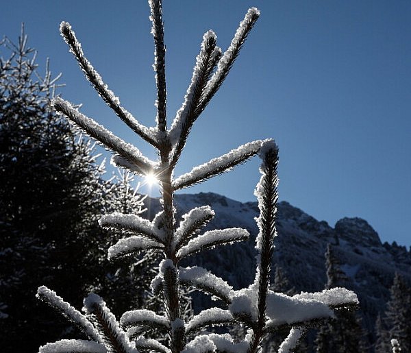 Czekają nas mroźne i słoneczne święta-50422