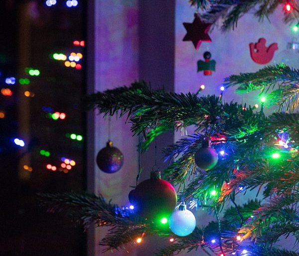 Choinka niejedno ma imię-50429