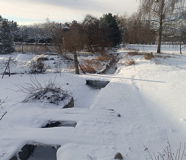 Silny mróz w powiecie kolneńskim-50760