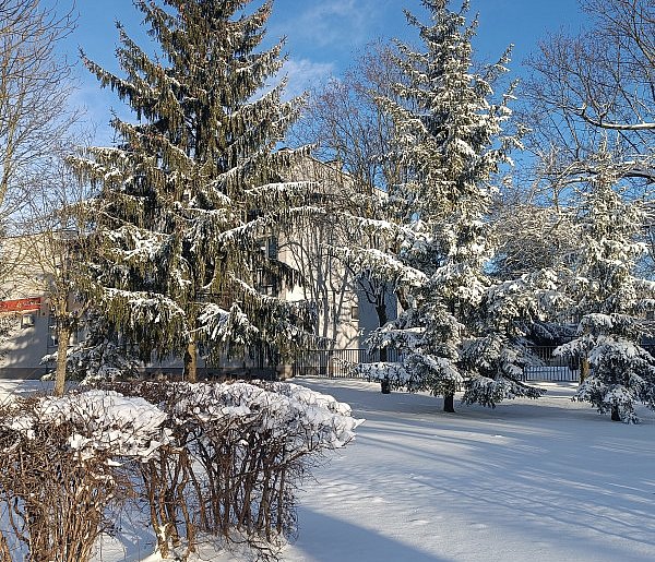 Opady śniegu w powiecie kolneńskim-50954