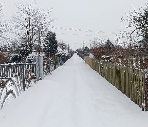 IMGW: Nadchodzące dni będą zimne i słoneczne, miejscami temp. spadnie do minus 25-51058