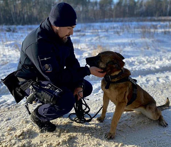 Jak dron i psy ratowały zaginionych w Małym Płocku-51085