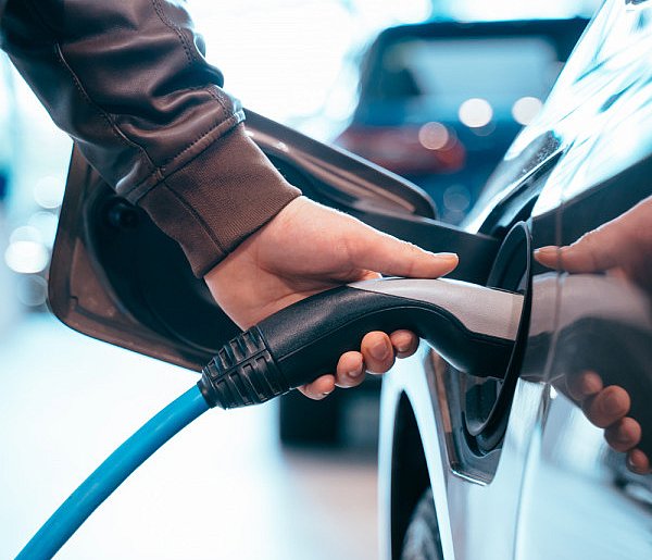 Coraz częściej dochodzi do takich kradzieży. Powody zaskakują-51131