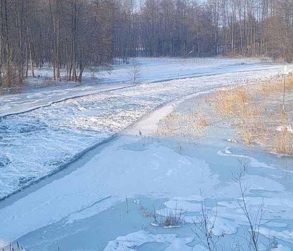 IMGW ostrzega przed silnym mrozem i opadami marznącymi