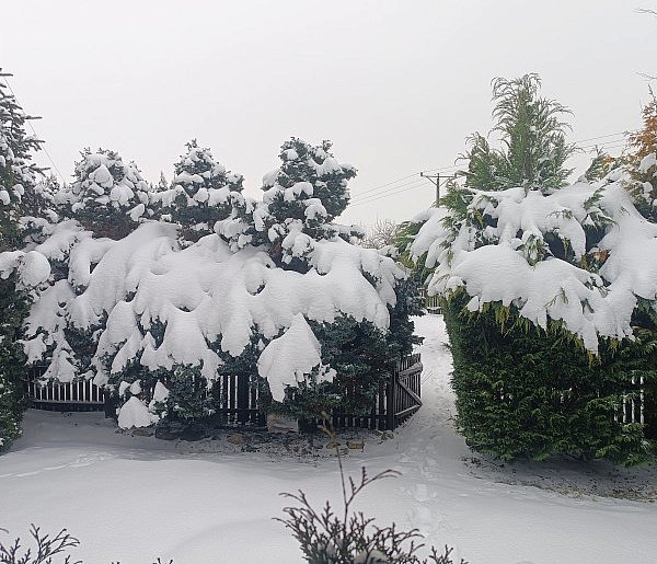 Najbliższe dni mroźne, z temperaturą w nocy nawet do minus 28 st. C