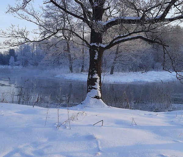 Hydrolog: zapowiada się pierwszy rok od lat bez wejścia w wiosnę z suszą