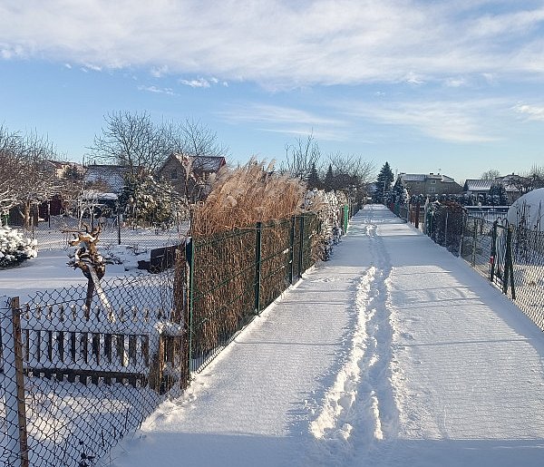 W weekend mroźno z opadami marznącymi, na północnym wschodzie do minus 19 st. C