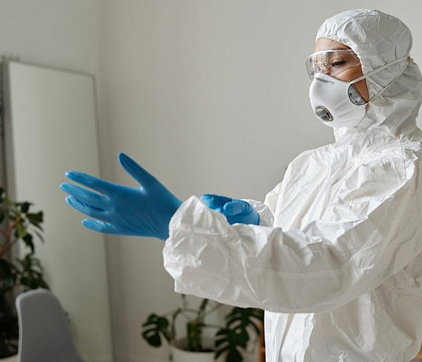 Jak wybrać najlepszą firmę deratyzacyjną w Białymstoku?