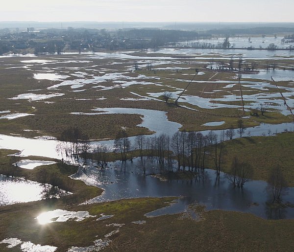 Dobry czas na obserwacje ptaków nad Narwią i Biebrzą