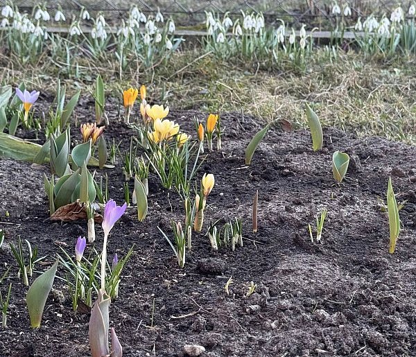 Ostrzeżenie pierwszego stopnia dla miejscowości Kolno i dla okolic