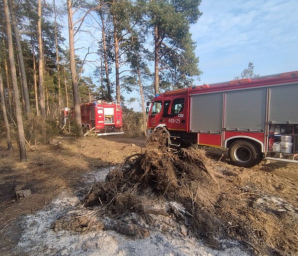 Pożar lasu w gminie Kolno