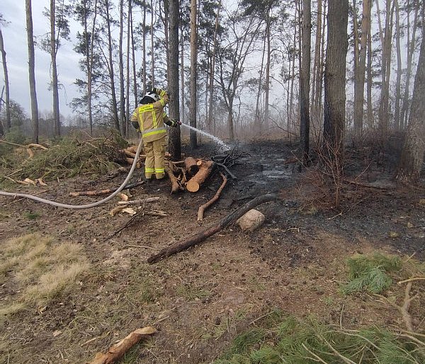 Pożar lasu w okolicach Wincenty (fotorelacja)