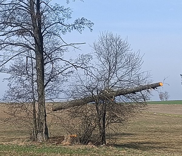 Zobaczcie, co uchwycił obiektyw na trasie Kolno - Górskie