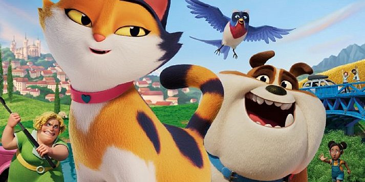 Nie warto  przegapić seansów