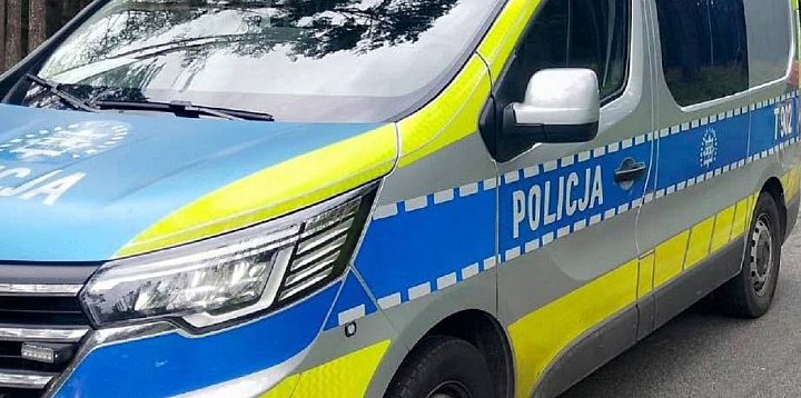 Wieniec jelenia w bagażniku. Kierowca odpowie za ...-49313