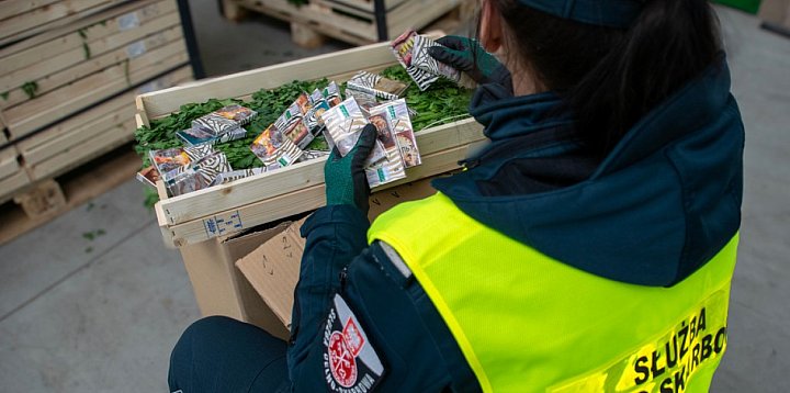 Kontrabanda była ukryta w gruzińskiej ciężarówce-49728