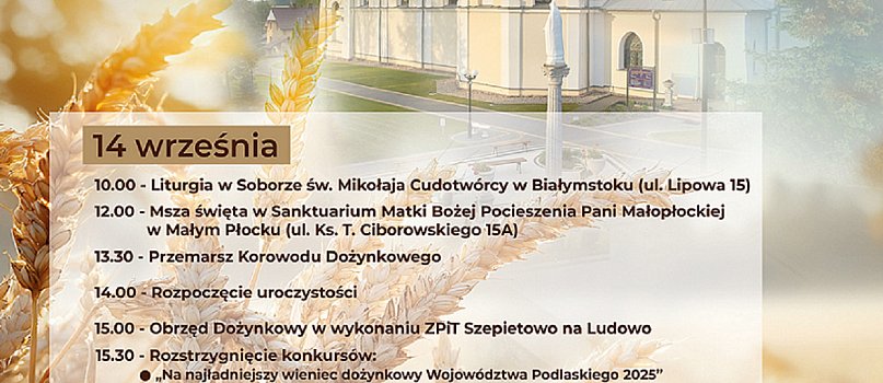 Wojewódzko - Diecezjalne Dożynki Mały Płock-1317