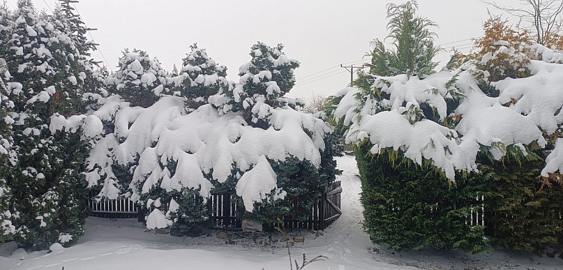 Najbliższe dni mroźne, z temperaturą w nocy nawet do minus 28 st. C
